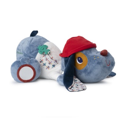 Grand chien découvertes Jules