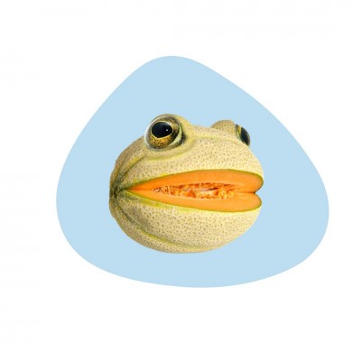 SET DE TABLE GRENOUILLE