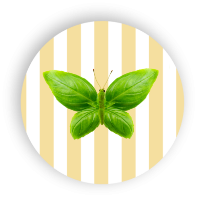 DESSOUS DE PLAT PAPILLON