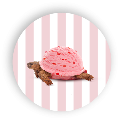 DESSOUS DE PLAT TORTUE