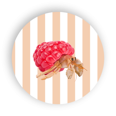 DESSOUS PLAT BERNARD L'HERMITE