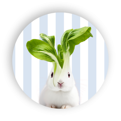 DESSOUS DE PLAT LAPIN