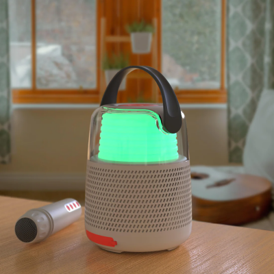 Enceinte & Karaoké Gris